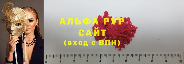 индика Белокуриха