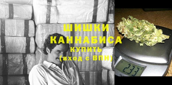 индика Белокуриха