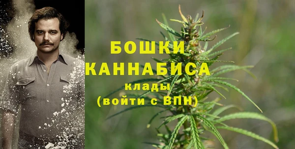 индика Белокуриха