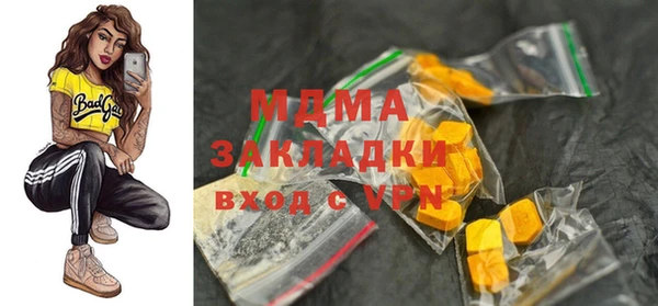 индика Белокуриха